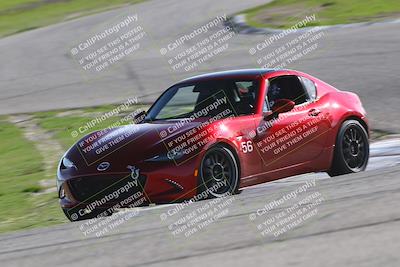 media/Jan-10-2026-Turn8 Trackdays (Sat) [[448b66da83]]/Purple/Session 3 (Off Ramp)/